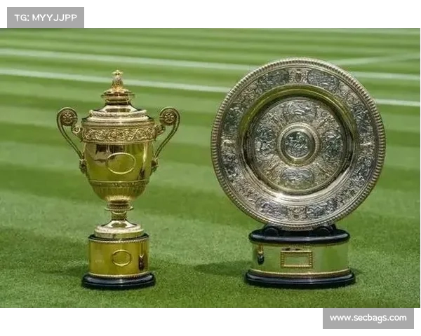 网球赛事奖金分配机制解析及各大赛事奖金对比分析