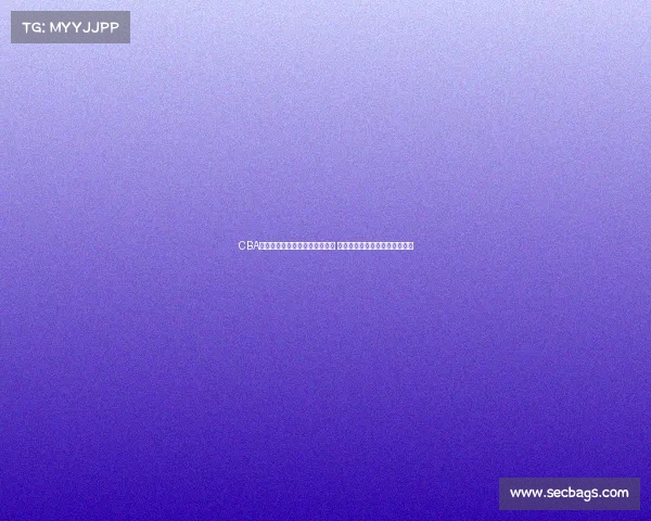 CBA现场解说带你感受赛场激情瞬间 揭秘精彩背后的故事与战略布局