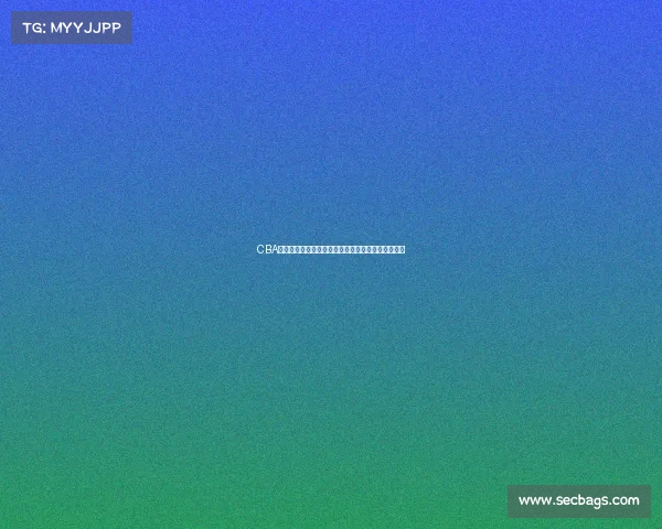 CBA球员体能测试全面解析：标准、流程与训练提升策略