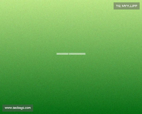 英超夏季转会窗口临近 多支豪门球队密切关注潜力新星