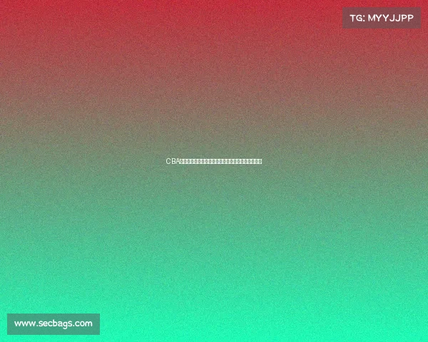 CBA球员体能测试全面解析：标准、流程与训练提升策略