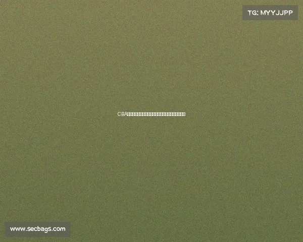 CBA球员体能测试全面解析：标准、流程与训练提升策略